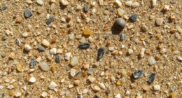 unique beach sand compositions