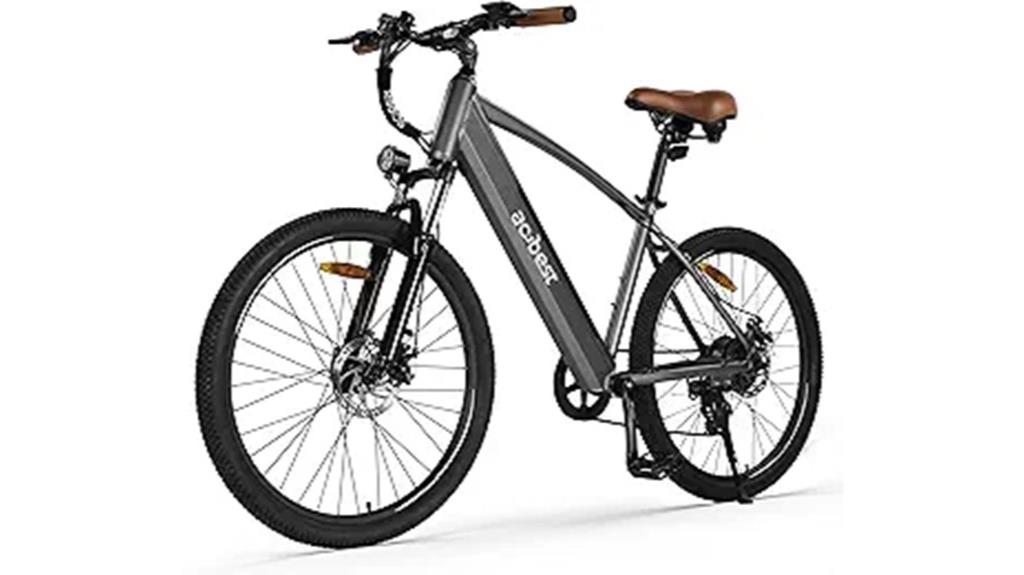 adult electric bike