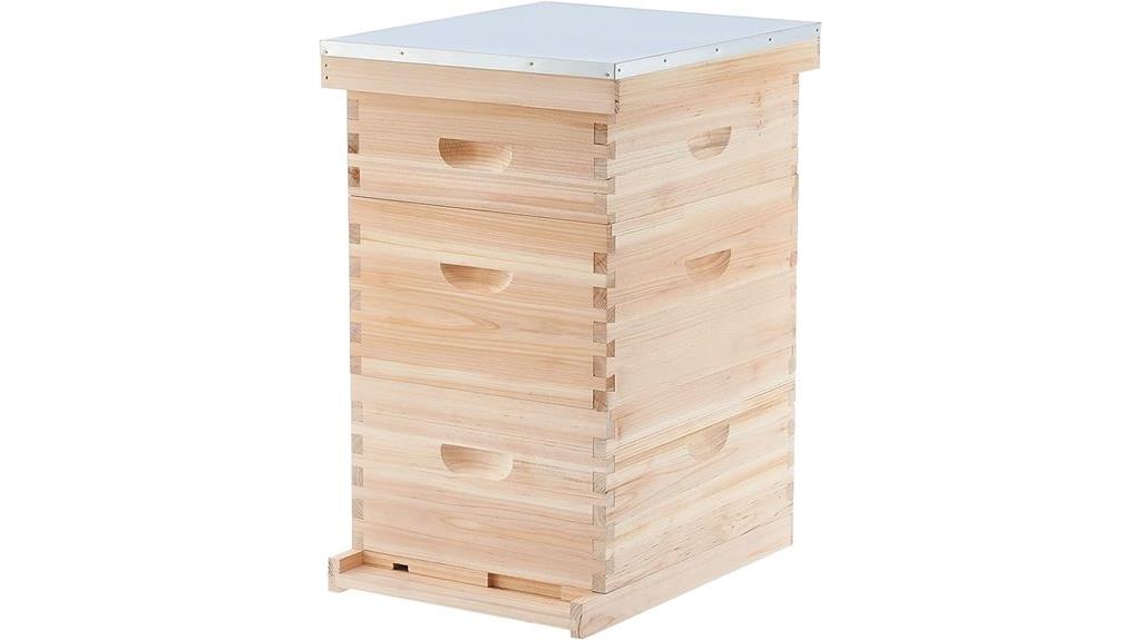 beehive starter kit