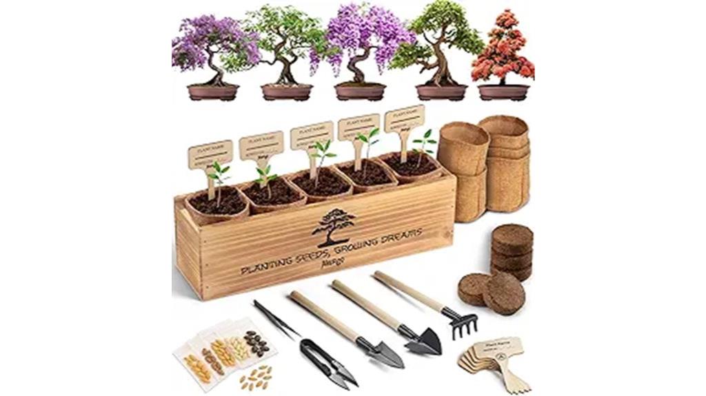 beginner bonsai tree kit