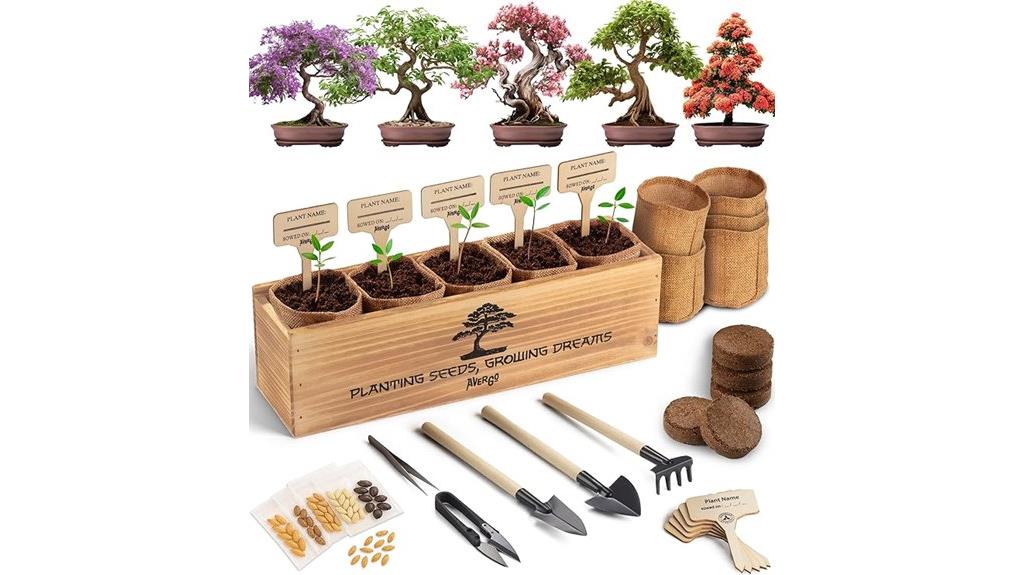 beginner bonsai tree kit