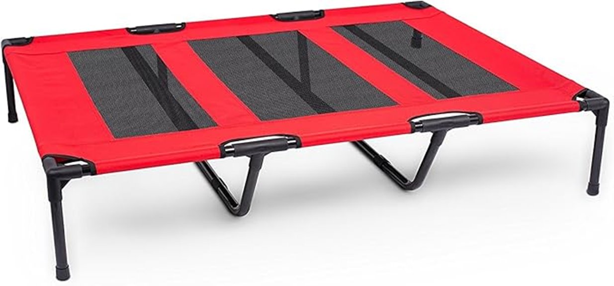 best elevated dog bed