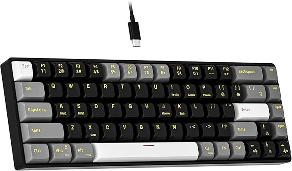 compact rgb hot swappable keyboard