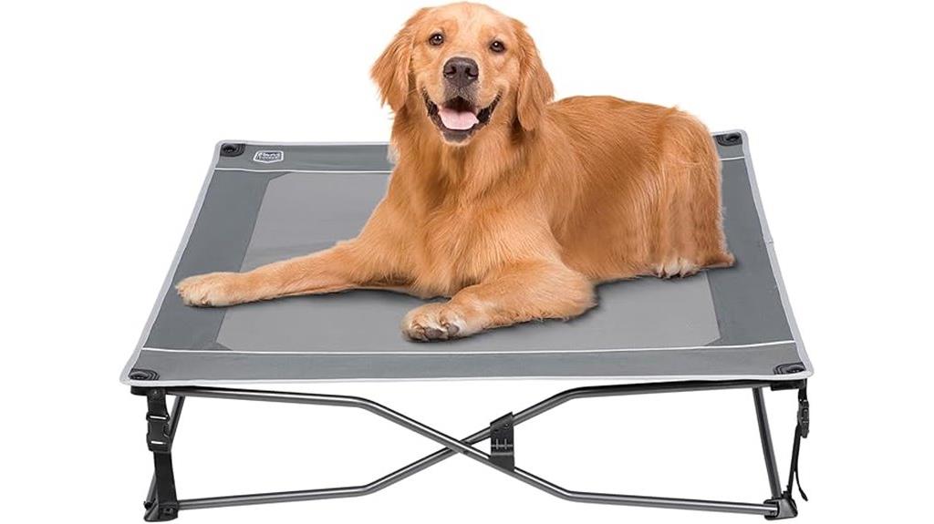 cooling elevated dog bed