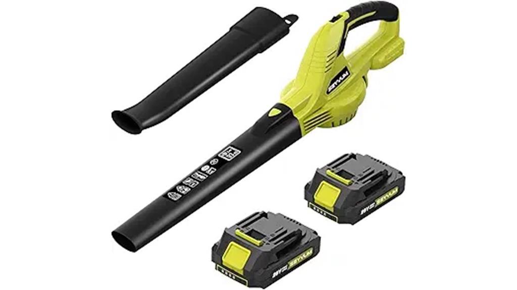 cordless leaf blower set