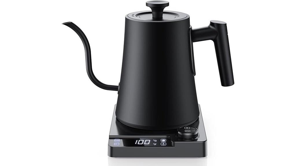 electric gooseneck kettle