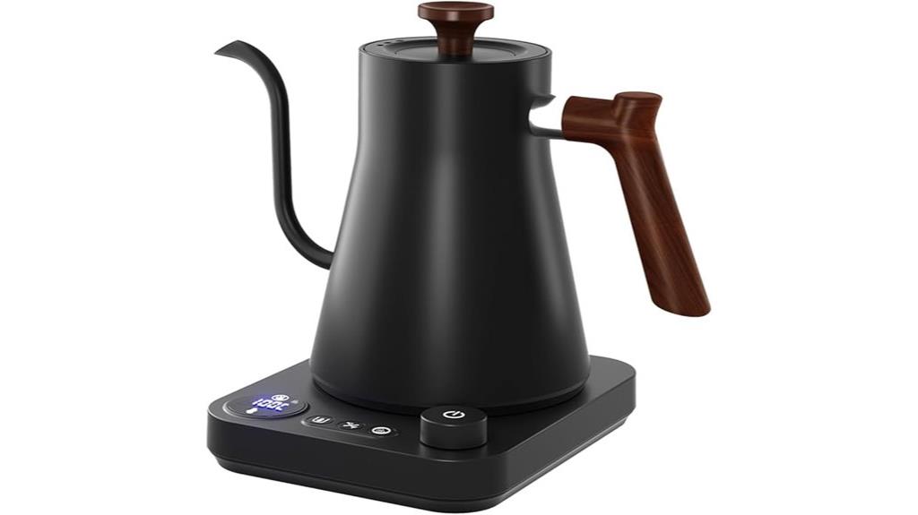 electric kettle with adjustable temperature