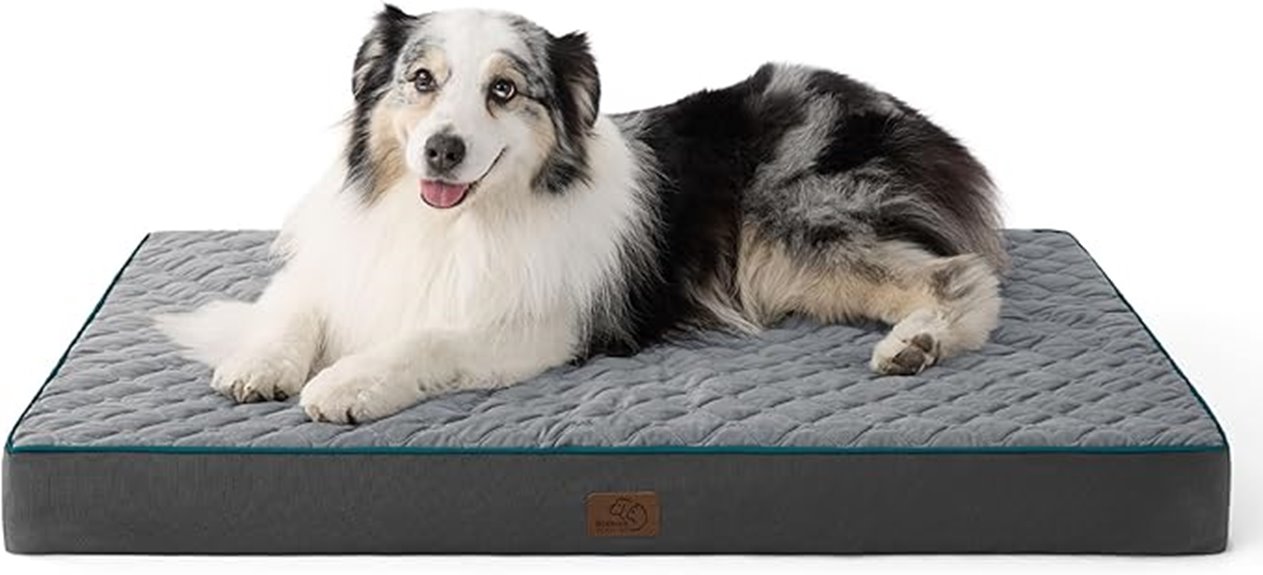 extra large orthopedic bed
