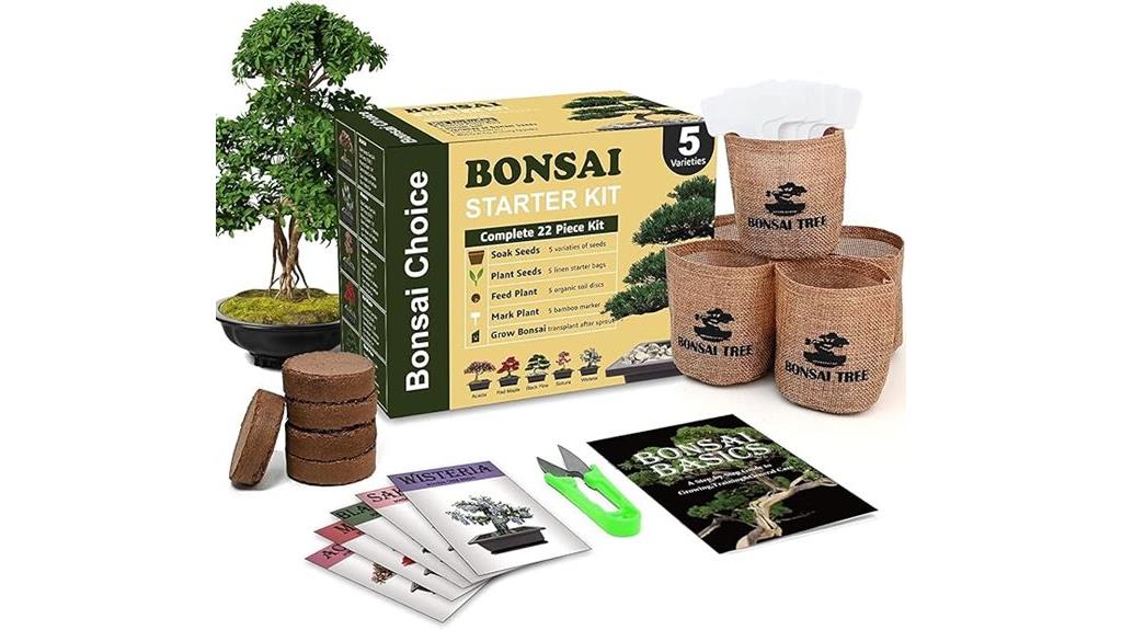 indoor planting beginner set
