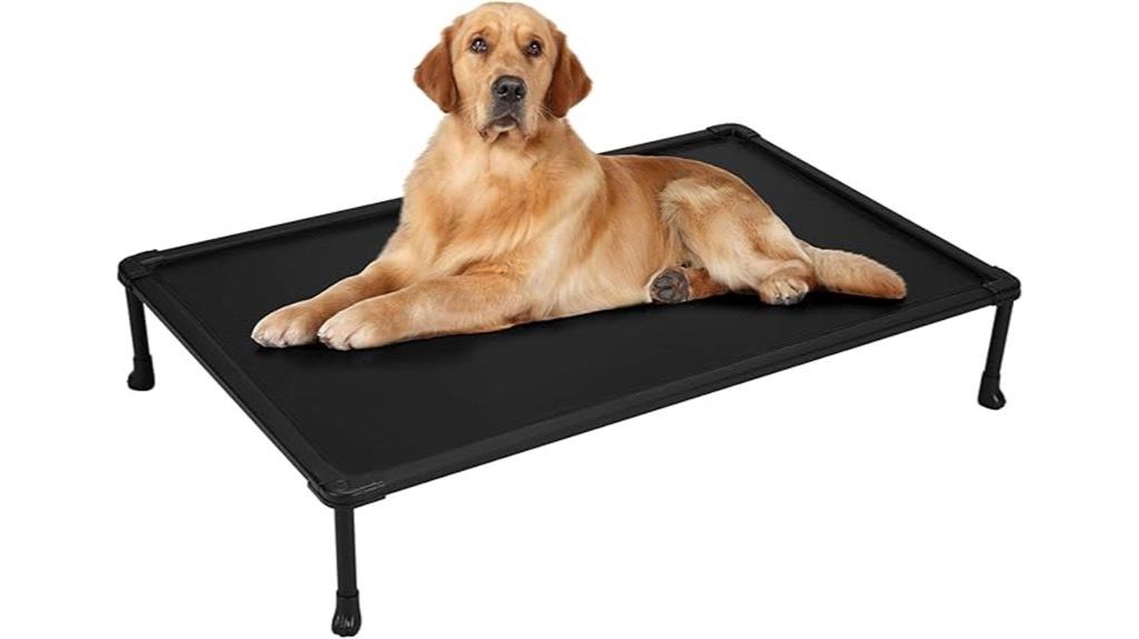 large elevated dog bed