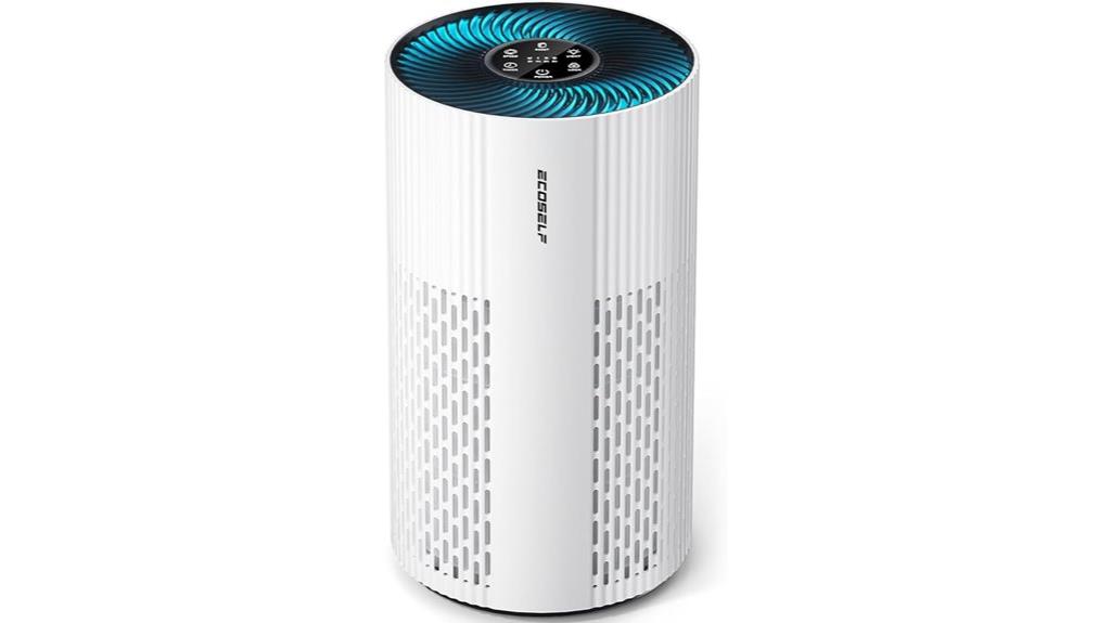 large room hepa purifier