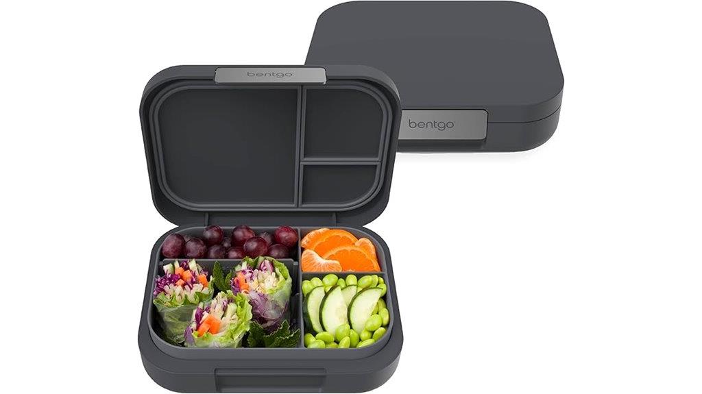 stylish adult bento box