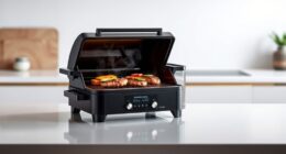 top indoor smoke free grills