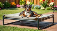 top outdoor dog bed options