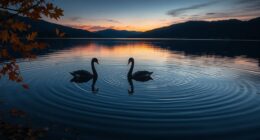 rare unpredictable disruptive events