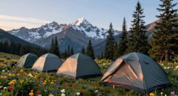 top four season backpacking tents