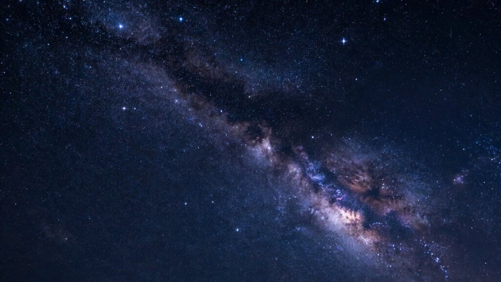 wide angle fast lens selection